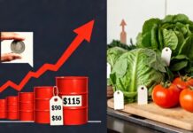 Hur kriget i Iran kan påverka matpriserna i Sverige matpriser olja